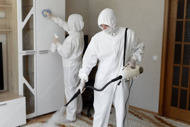 Best Industrial Mold Remediation in Rolling Hills, CA