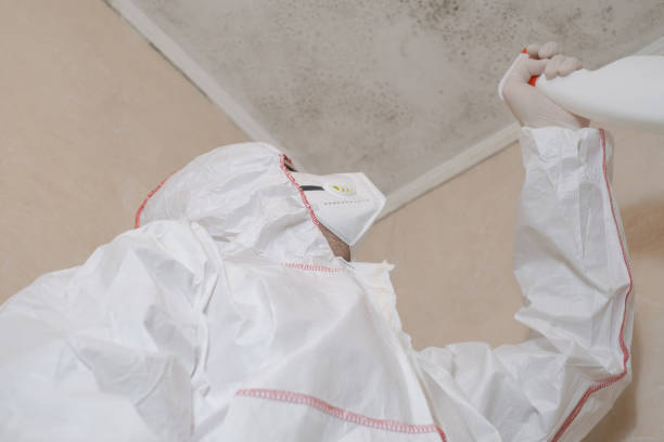 Best Crawl Space Mold Remediation in Rolling Hills, CA